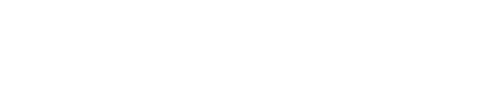 Nina Lichtenstein logo